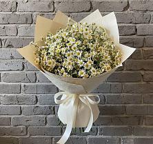 Букет цветов из:  Ромашки в Туже