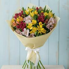 Букет цветов из:  Альстромерии в Туже