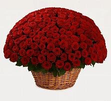 Премиум букет из: Розы #REPLACE_PRED# Туже