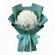 Букет цветов из:  Гортензия #REPLACE_PRED# Туже
